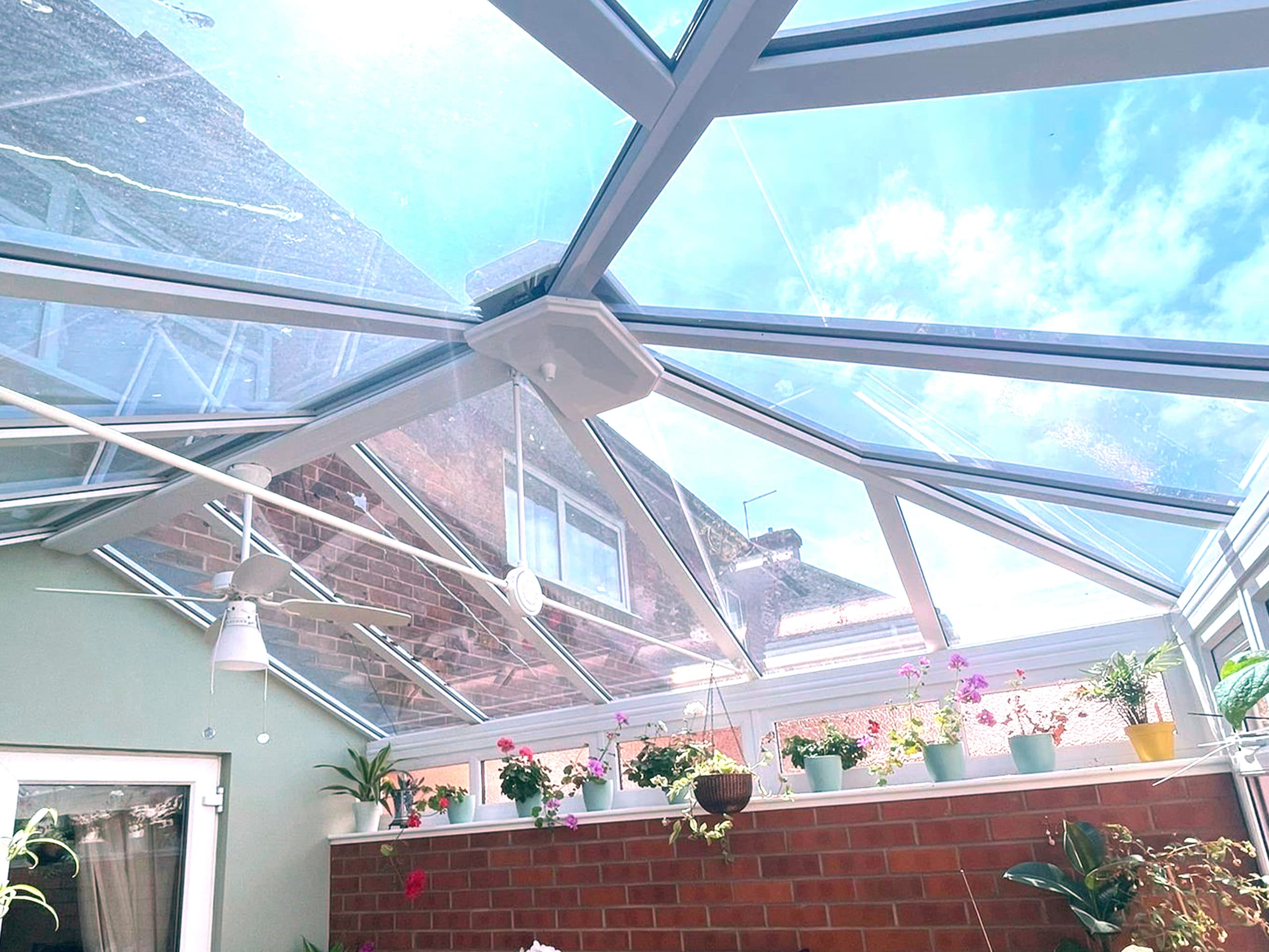 Looking up at a glazed conservatory roof with white frames and potted plants on the sill